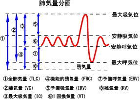 xCʕ@摜