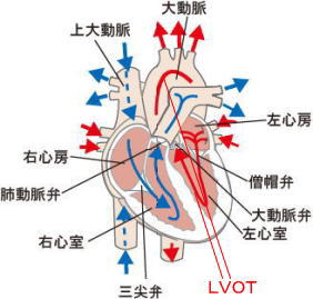 G{bgiELVOTj@摜